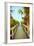 Palm Walkway I-Susan Bryant-Framed Premium Giclee Print