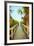 Palm Walkway I-Susan Bryant-Framed Premium Giclee Print