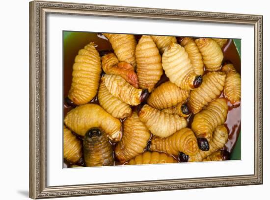 Palm Weevil Grubs. Pompeya Market. Amazon Rainforest, Ecuador-Pete Oxford-Framed Photographic Print