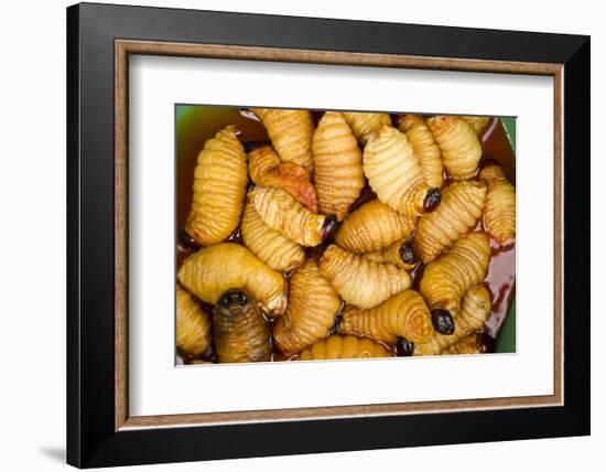 Palm Weevil Grubs. Pompeya Market. Amazon Rainforest, Ecuador-Pete Oxford-Framed Photographic Print