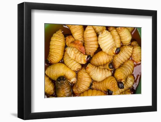 Palm Weevil Grubs. Pompeya Market. Amazon Rainforest, Ecuador-Pete Oxford-Framed Photographic Print