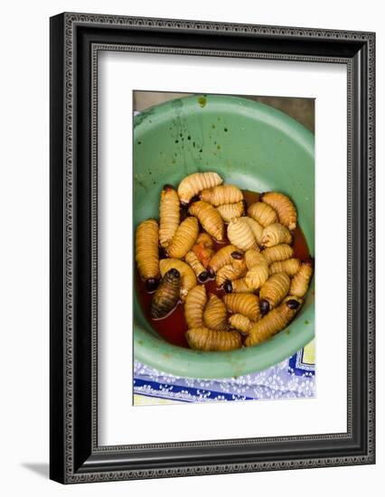 Palm Weevil Grubs. Pompeya Market. Amazon Rainforest, Ecuador-Pete Oxford-Framed Photographic Print