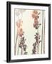 Palm-Mina Teslaru-Framed Art Print