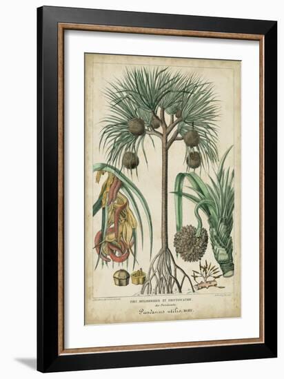 Palma Exotica I-Vision Studio-Framed Art Print