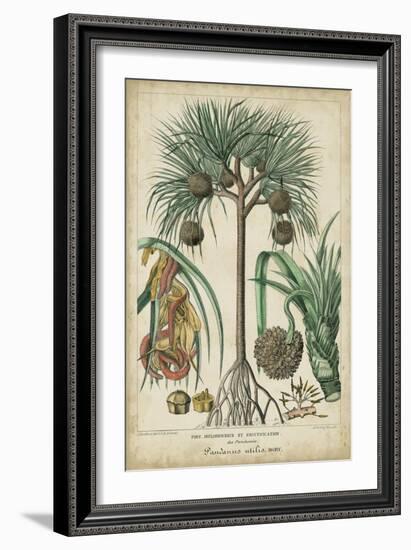 Palma Exotica I-Vision Studio-Framed Art Print