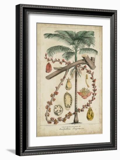 Palma Exotica II-Vision Studio-Framed Art Print