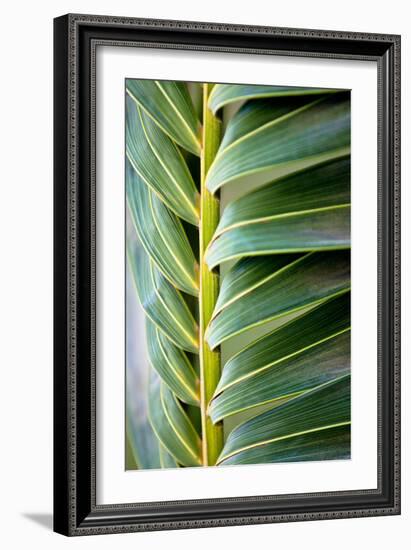 Palma I-Susan Bryant-Framed Photographic Print