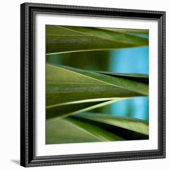 Palma III-Susan Bryant-Framed Photographic Print