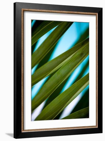 Palma IV-Susan Bryant-Framed Photographic Print