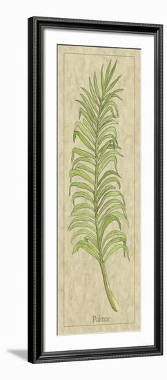 Palmae Leaf-Alicia Ludwig-Framed Art Print