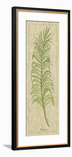 Palmae Leaf-Alicia Ludwig-Framed Art Print