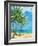 Palmas Belize I-Paul Brent-Framed Art Print