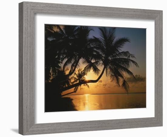 Palmenstrand, Sonnenuntergang, Meer, Ufer, Palmen, Abendsonne, Urlaub-Thonig-Framed Photographic Print