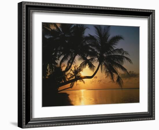 Palmenstrand, Sonnenuntergang, Meer, Ufer, Palmen, Abendsonne, Urlaub-Thonig-Framed Photographic Print