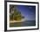 Palmenstrand-Thonig-Framed Photographic Print