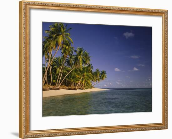 Palmenstrand-Thonig-Framed Photographic Print