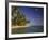 Palmenstrand-Thonig-Framed Photographic Print