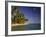 Palmenstrand-Thonig-Framed Photographic Print