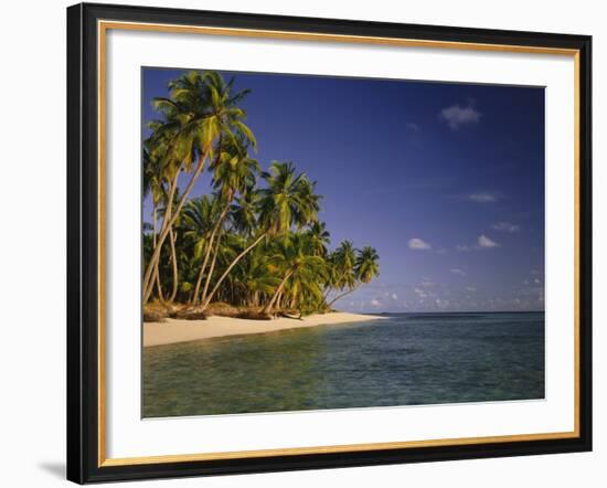 Palmenstrand-Thonig-Framed Photographic Print