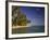 Palmenstrand-Thonig-Framed Photographic Print