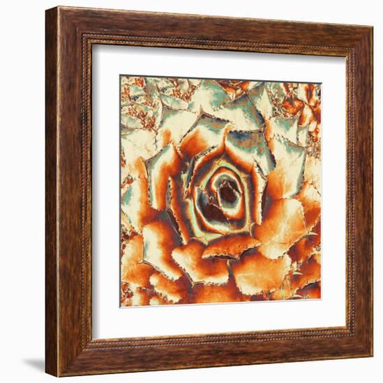 Palmer'S Agave-null-Framed Art Print