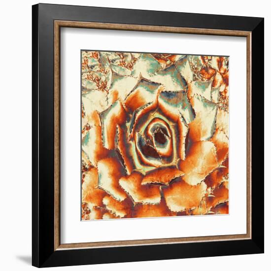 Palmer'S Agave-null-Framed Art Print