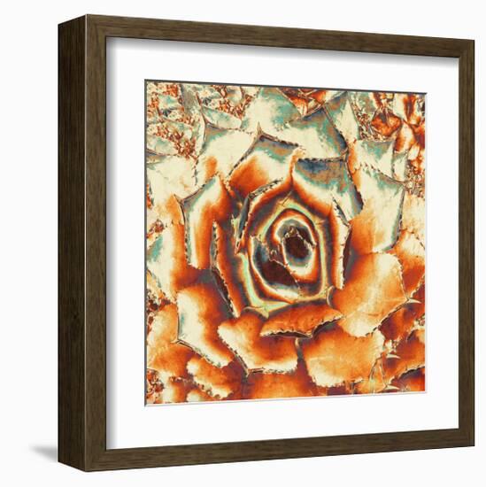 Palmer'S Agave-null-Framed Art Print