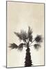 Palmera II-Yuyu Pont-Mounted Art Print