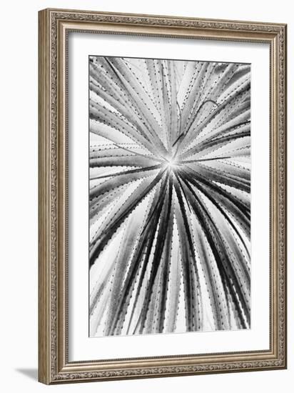 Palmera Shift-Irene Suchocki-Framed Giclee Print