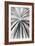 Palmera Shift-Irene Suchocki-Framed Giclee Print