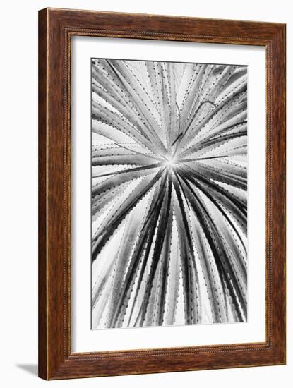 Palmera Shift-Irene Suchocki-Framed Giclee Print