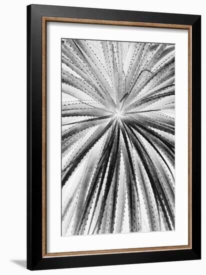 Palmera Shift-Irene Suchocki-Framed Giclee Print