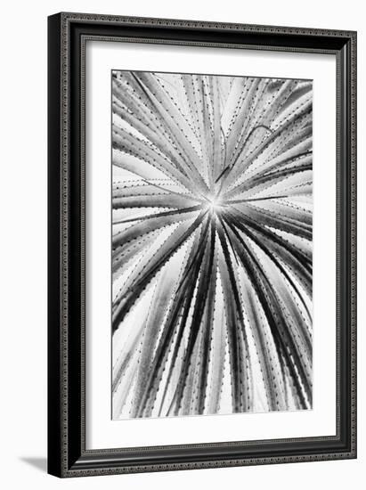 Palmera Shift-Irene Suchocki-Framed Giclee Print