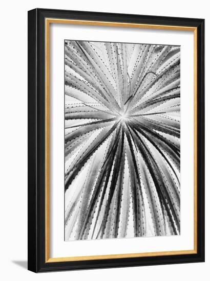 Palmera Shift-Irene Suchocki-Framed Giclee Print