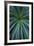 Palmera-Irene Suchocki-Framed Giclee Print