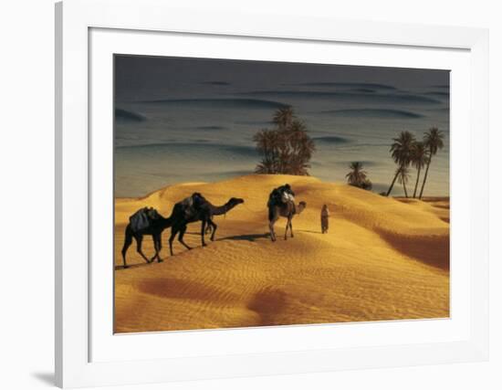 Palmeraie Dans le Sud Tunisien-Robert Putinier-Framed Art Print