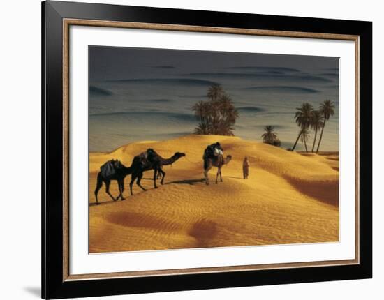 Palmeraie Dans le Sud Tunisien-Robert Putinier-Framed Art Print