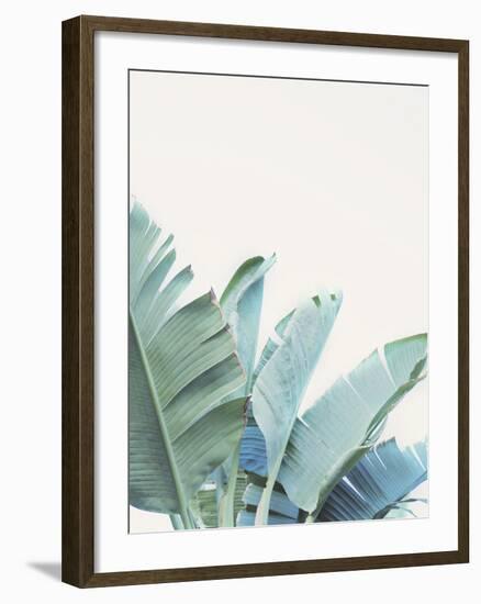 Palmetto Bay - Detail II-Irene Suchocki-Framed Art Print