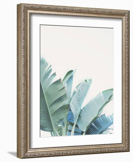 Palmetto Bay - Detail II-Irene Suchocki-Framed Giclee Print