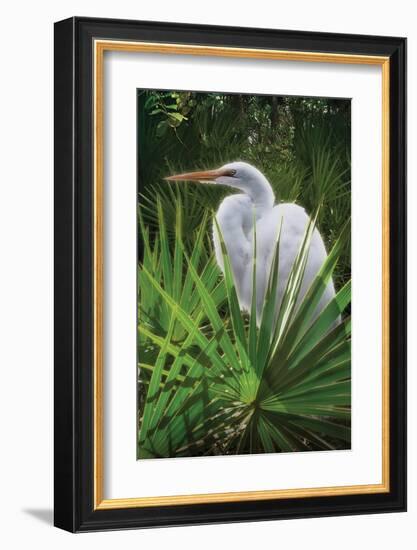 Palmetto Egret-Steve Hunziker-Framed Art Print