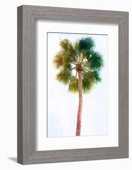 Palmetto I-Ryan Hartson-Weddle-Framed Photographic Print