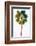 Palmetto I-Ryan Hartson-Weddle-Framed Photographic Print