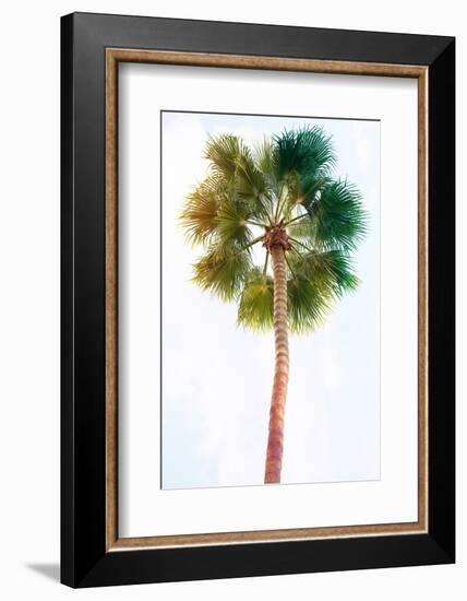 Palmetto I-Ryan Hartson-Weddle-Framed Photographic Print