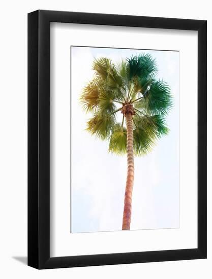 Palmetto I-Ryan Hartson-Weddle-Framed Photographic Print