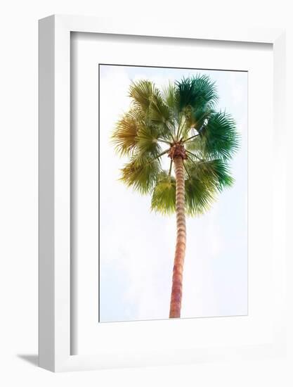 Palmetto I-Ryan Hartson-Weddle-Framed Photographic Print