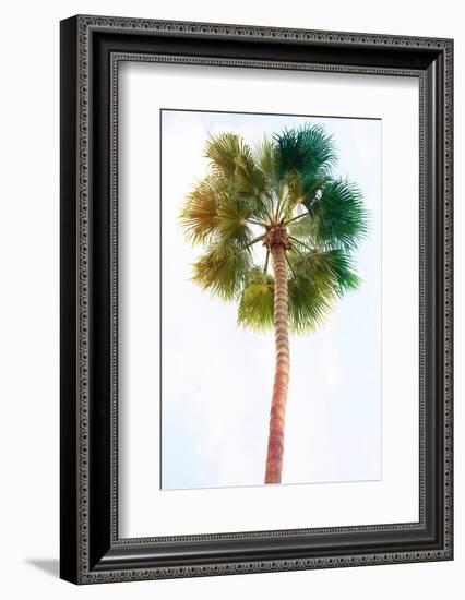 Palmetto I-Ryan Hartson-Weddle-Framed Photographic Print