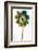 Palmetto I-Ryan Hartson-Weddle-Framed Photographic Print