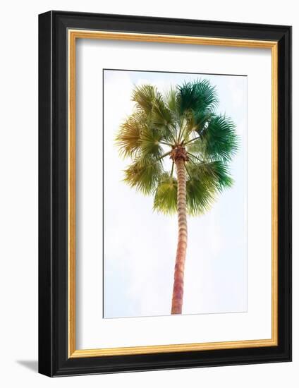 Palmetto I-Ryan Hartson-Weddle-Framed Photographic Print