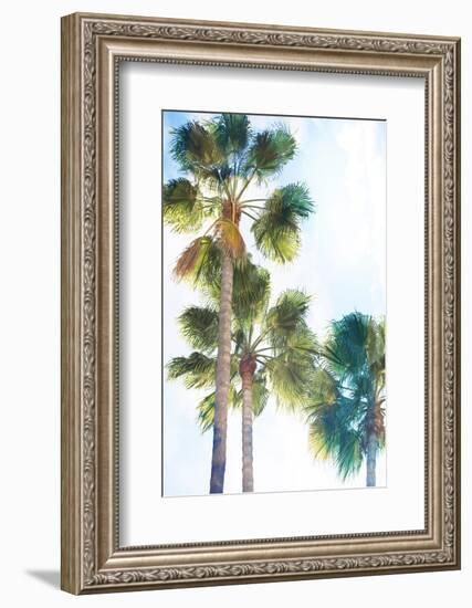 Palmetto II-Ryan Hartson-Weddle-Framed Photographic Print