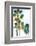 Palmetto II-Ryan Hartson-Weddle-Framed Photographic Print